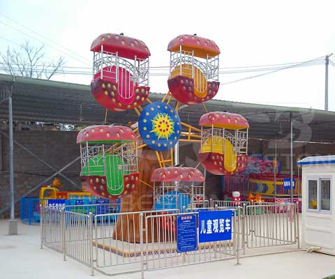 Kids Mini Ferris Wheel